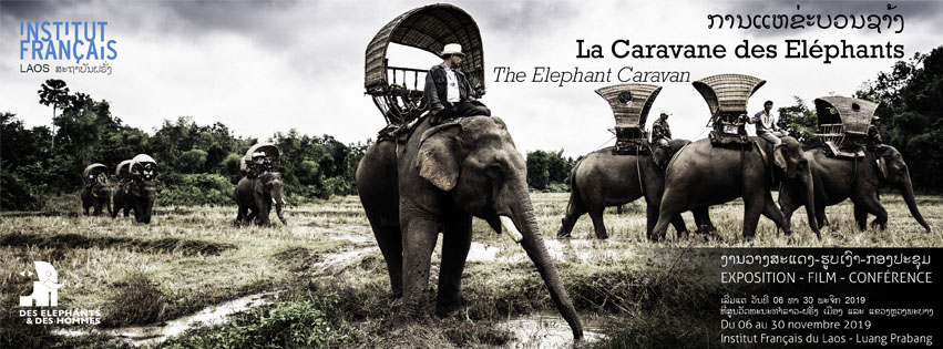 Luang Prabang : La caravane des éléphants