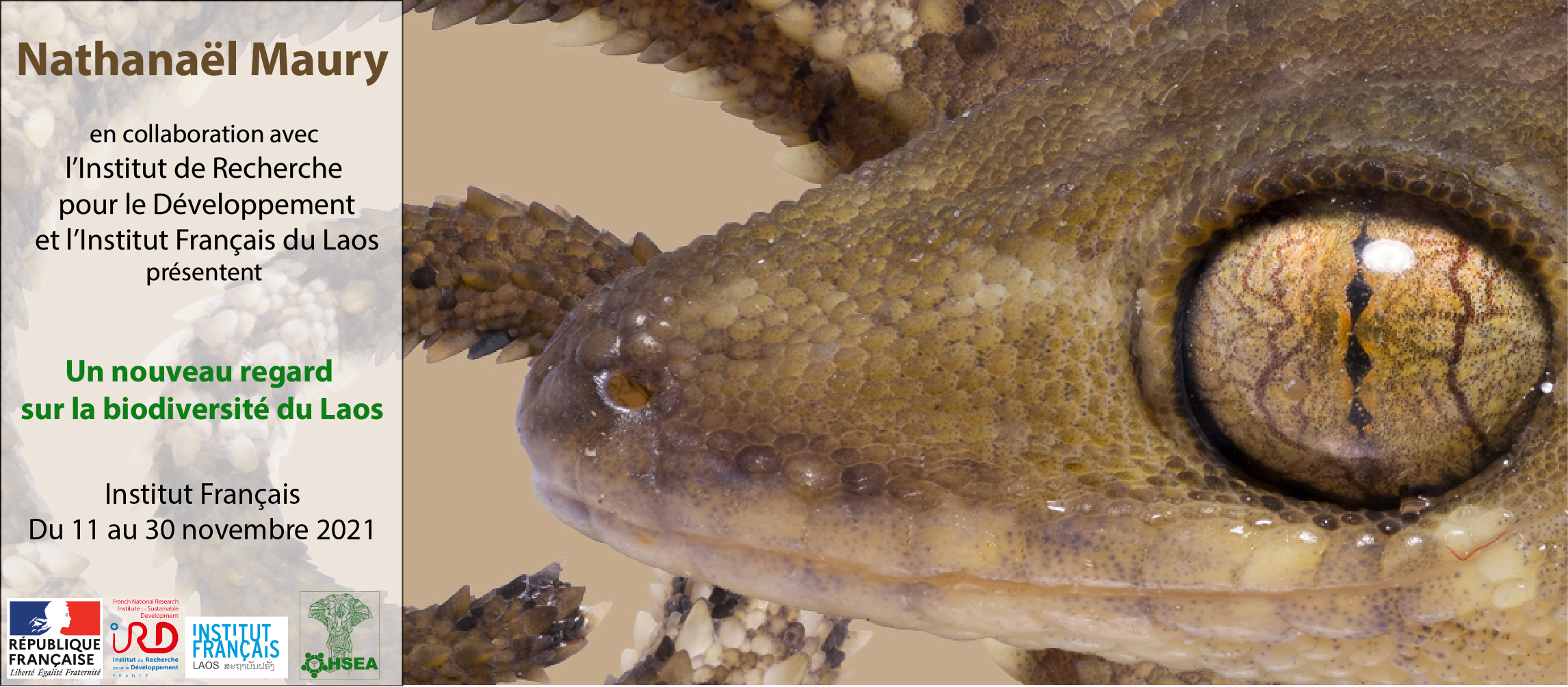EXPOSITION DE NATHANAËL MAURY : Un aperçu de la richesse de la biodiversité des amphibiens et des reptiles du Laos