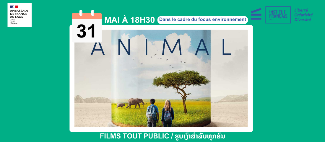 Cinema : Animal