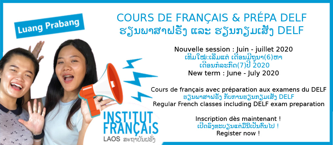 Regular French classes including DELF exam preparation